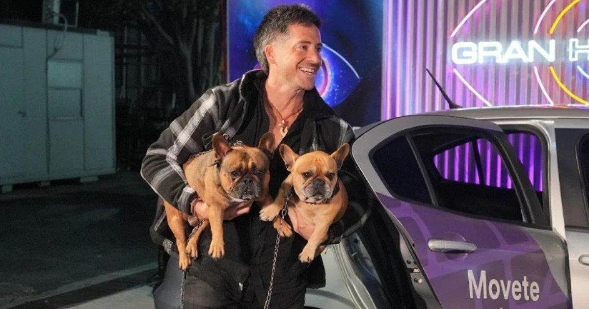 rating-del-lunes:-boca-no-pudo-contra-el-benfica,-pero-¿si-pudo-con-gran-hermano?