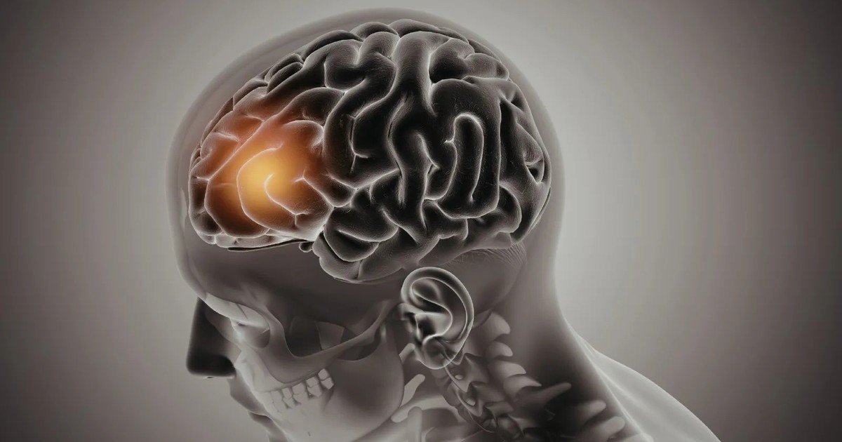 ¿se-pueden-recuperar-los-recuerdos-de-una-persona-muerta?-la-ciencia-explora-una-posibilidad-que-parecia-imposible